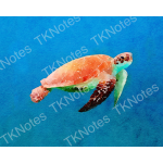 Turtle Swimming Watercolor Wall Art Print